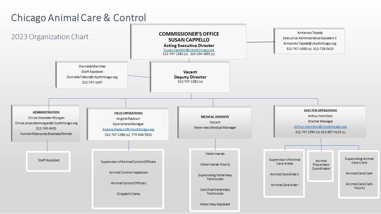 Organization Chart